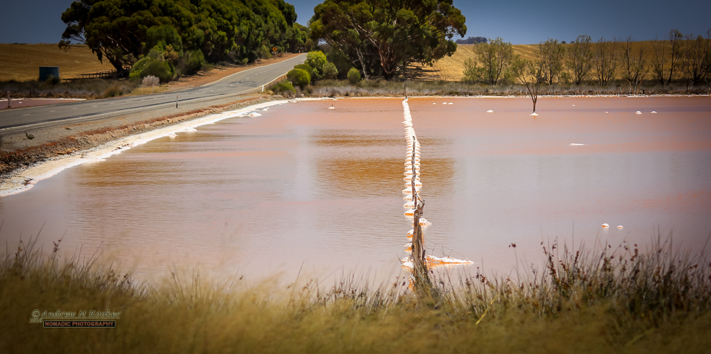 Pink Lake Lines
